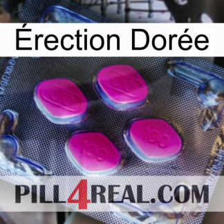 Érection Dorée 02